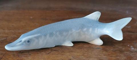 RC fish figure, Pike in porcelain